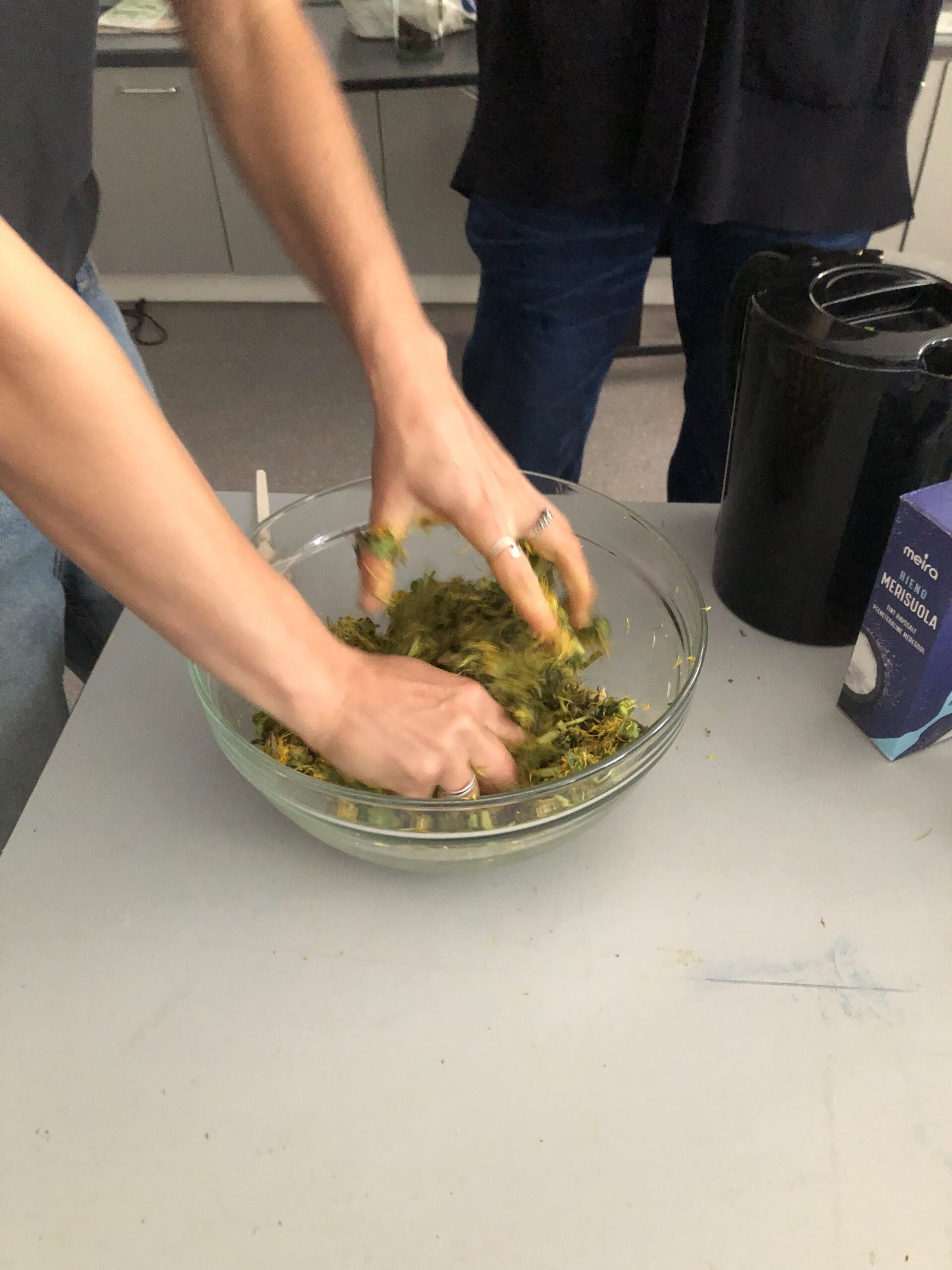 Research for plant based photochemical processes / Composting chemistry -workshop
