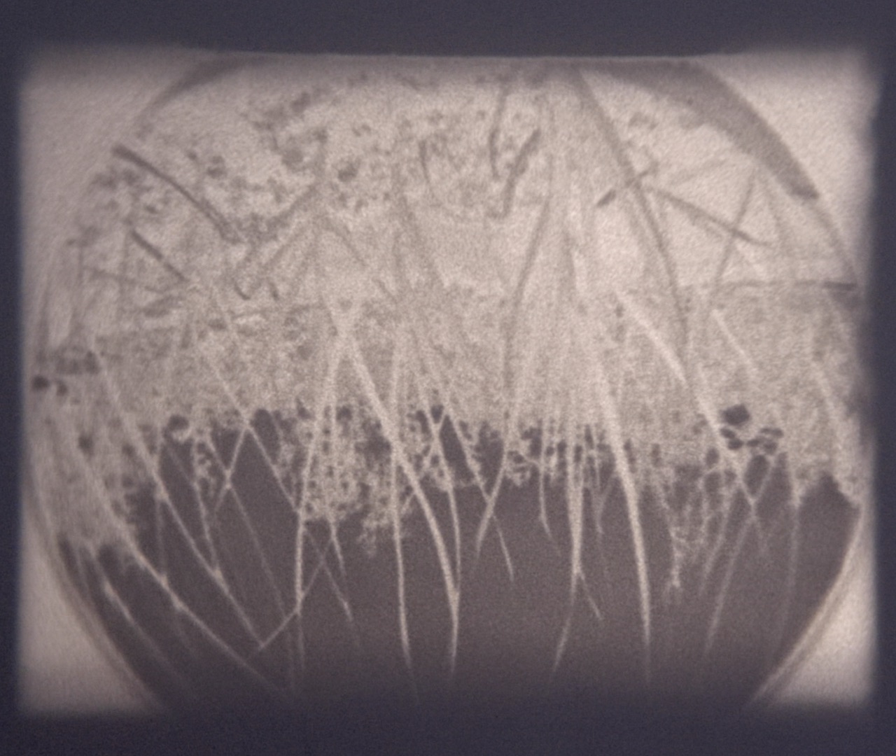 Testifilmi / test film