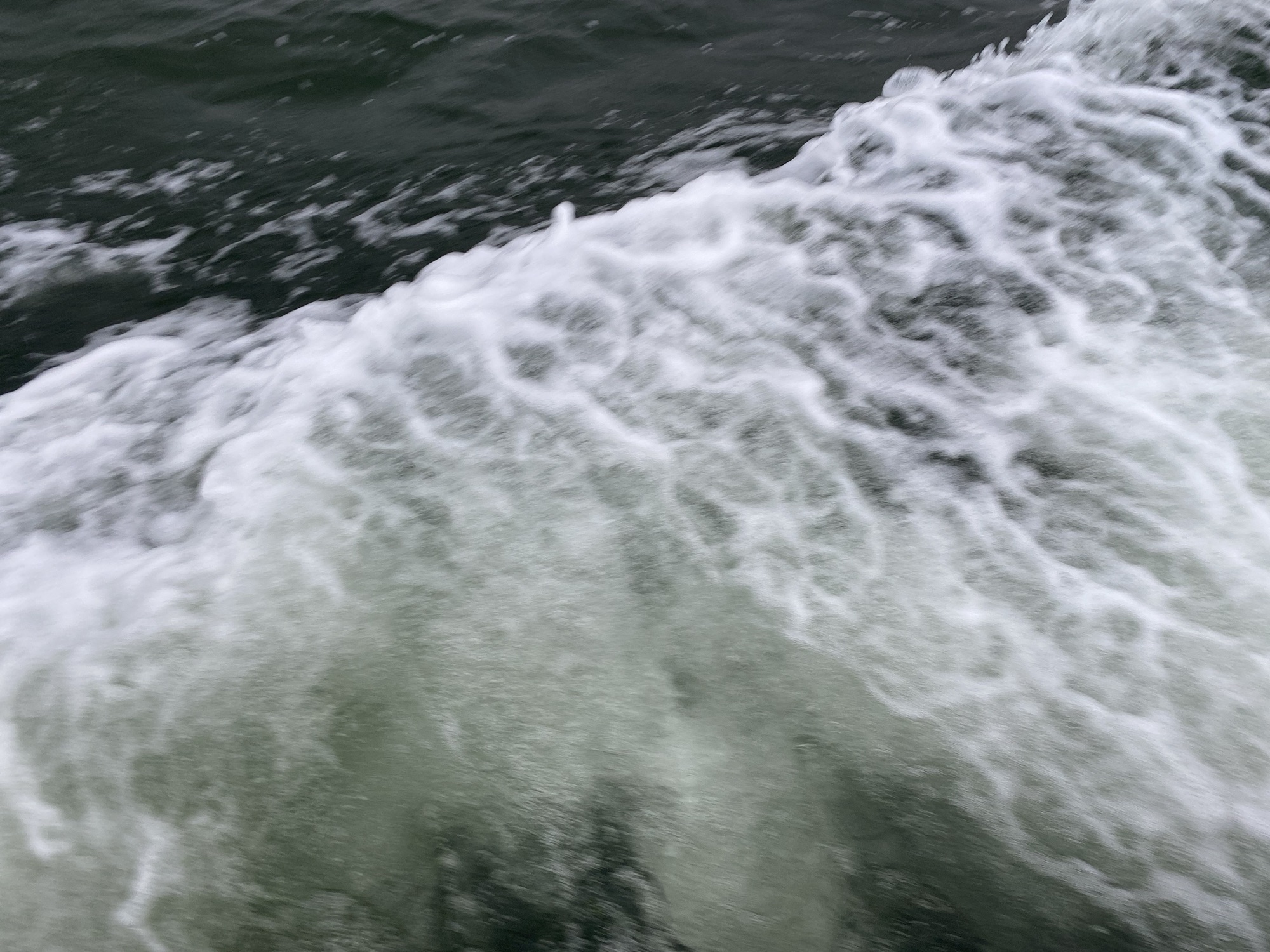 Ferry Snäckö – Skarpnåtö